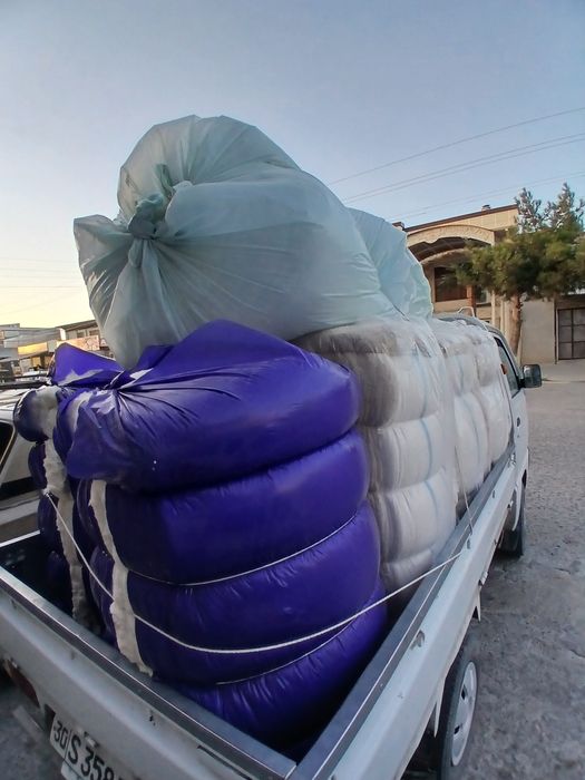 Той пахта 1 сорт 50 кг 800000 сум