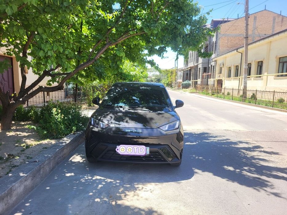 Bvd syugul sotiladi