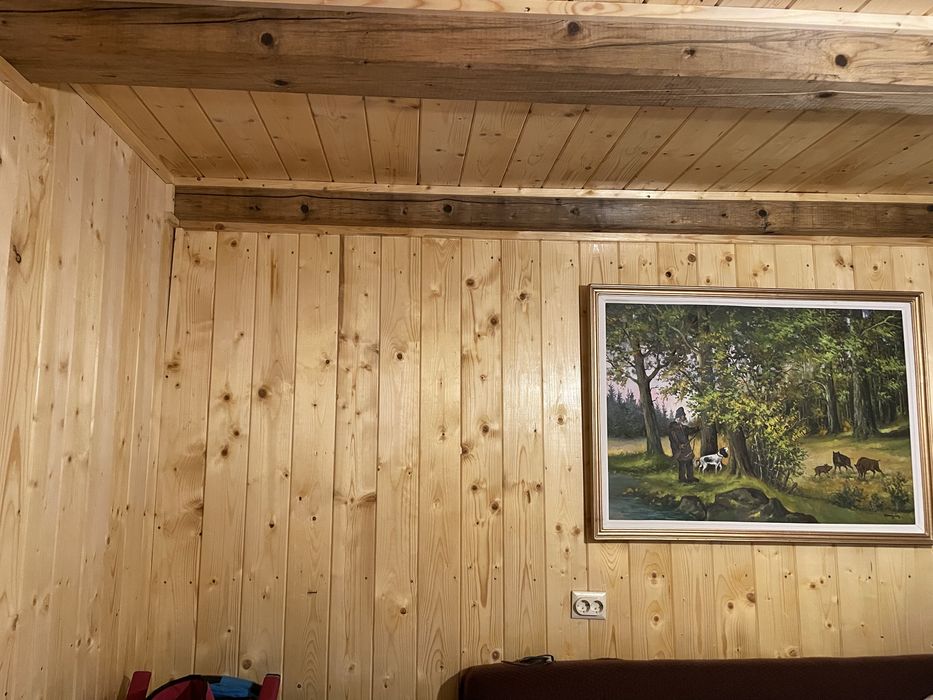 Oportunitate Rara – Cabana izolata in padure, teren 1000mp, la 10 minute de partie, Marisel