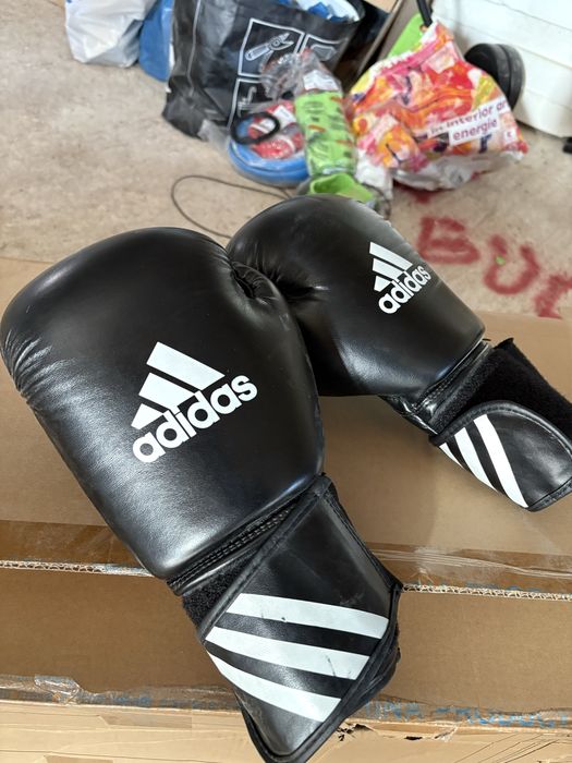 Vand sac de box + mănuși