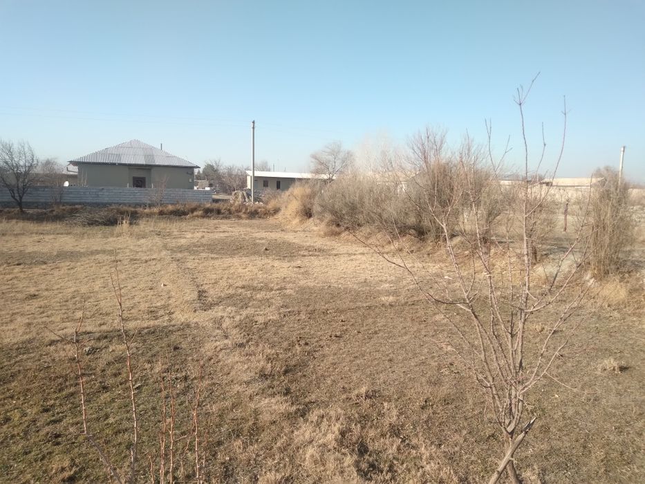 Yer sotiladi tel qilingla sutigi un million