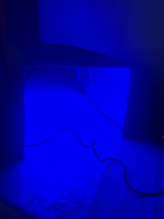 Фотолампа кювез оченьь эффективный