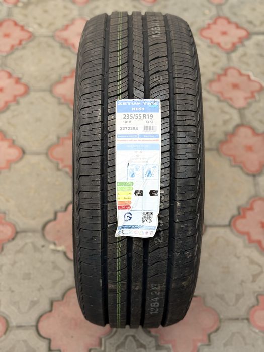 r19 zetum korea  champion/equinox