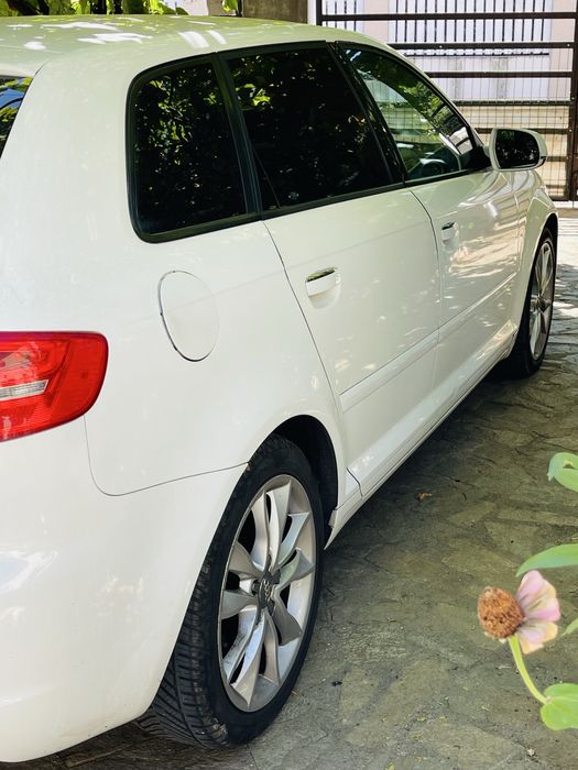 Audi A3 8P 2.0. 6 trepte