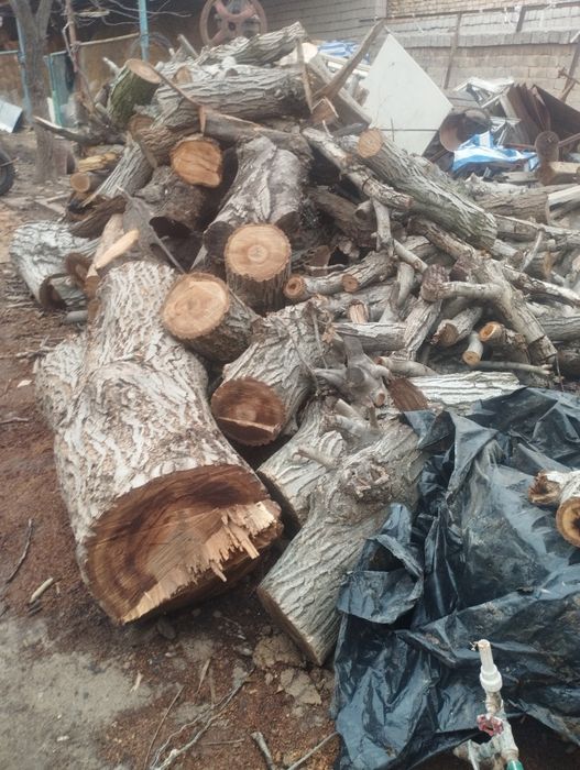 Утин сотилади Дрова продаётся