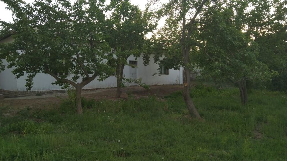 Жой ховли сотилади