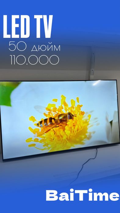 Led TV|0•0•12 без%|BaiTime