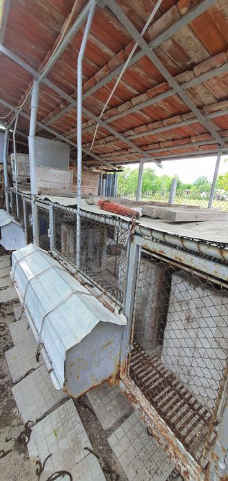 Зайчарници с.Скутаре Пловдивско