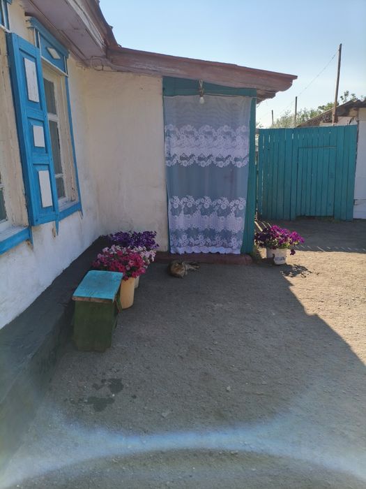 Продам дом в Нечаевке