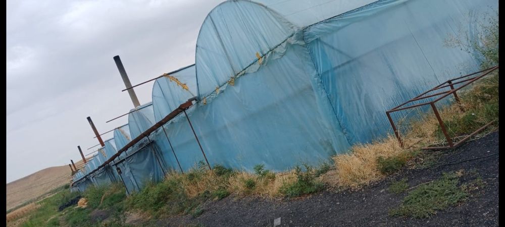 Теплица 32 соток