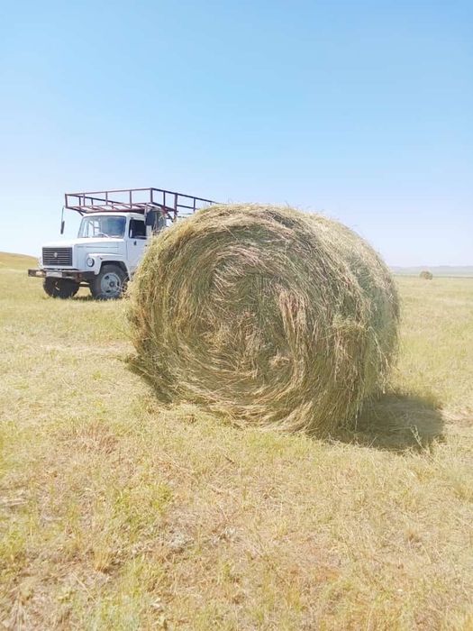 Проаю сено в тюках