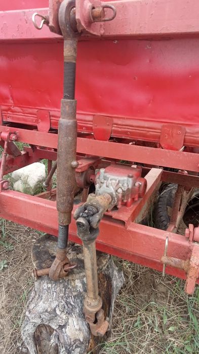 Semănătoare de usturoi și arbagic