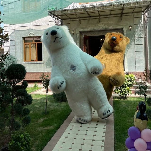 Айиклар тоззаси