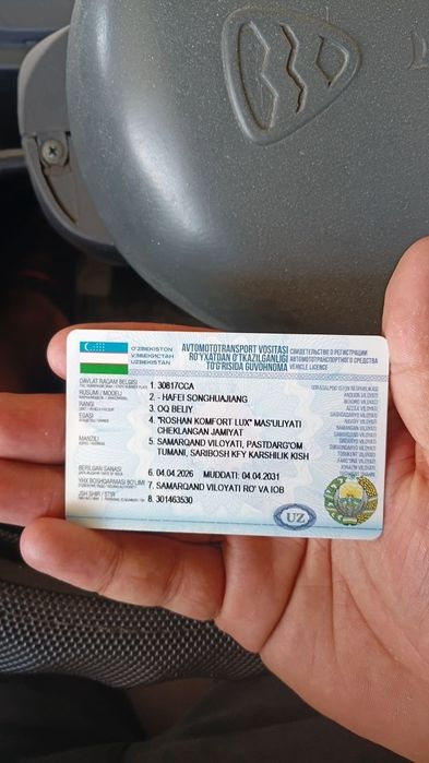 Китайский лабо продается