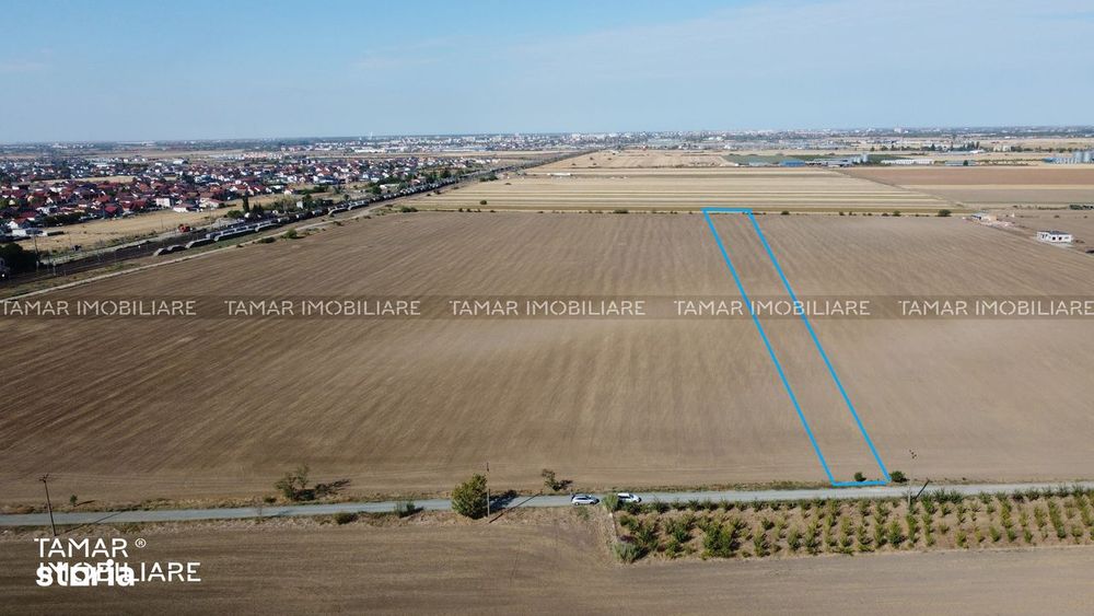 Teren Extravilan 10000 mp / CU UTILITĂȚI / Drum Acces / Vladimirescu