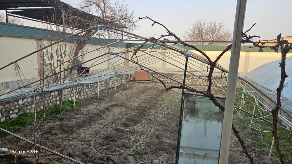 Парник для участок