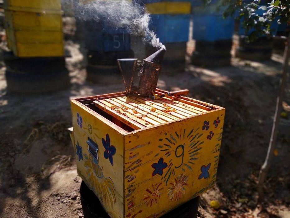 Пчелен мед  от  производител