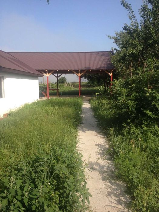 Vand casă Bradesti