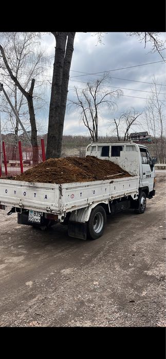 Перегной чистый Конский