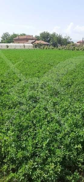 Продава се парцел в с. Шишманци! 83629