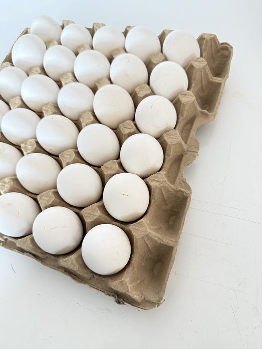 Продажа оптом домашних куриных яиц