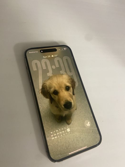 IPhone 14 Pro Max 1TB