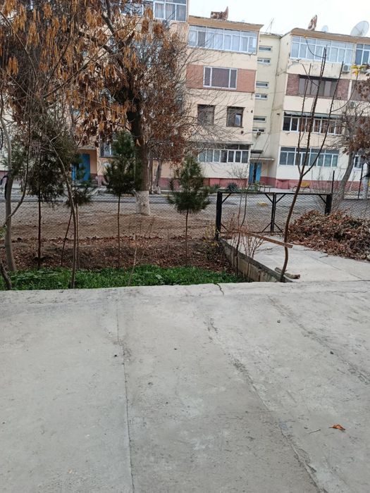 3 Хонали Шарк 1 16 Школа