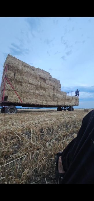 Vand baloti mici si rotunzi