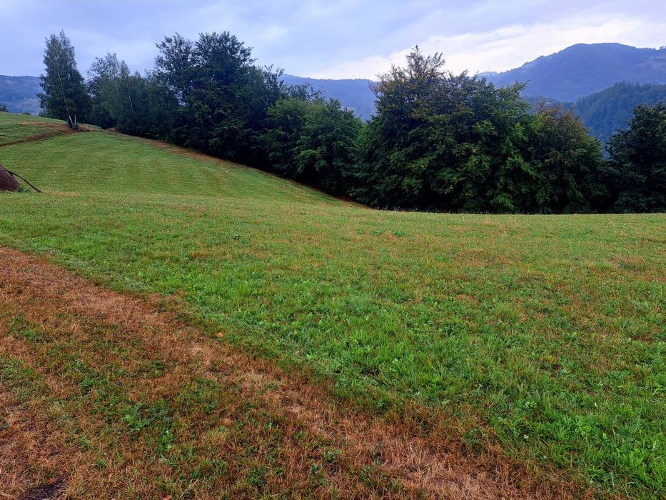 Teren de vânzare la munte