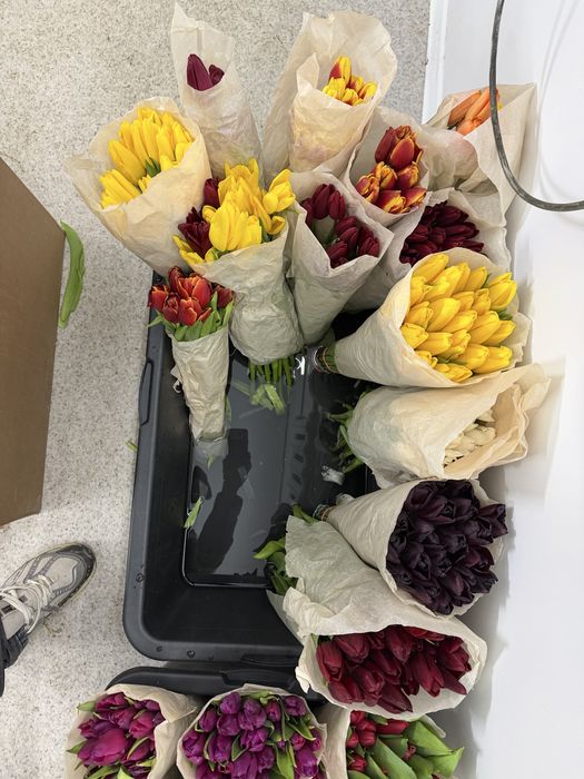 Отдам тюльпаны за 400тг