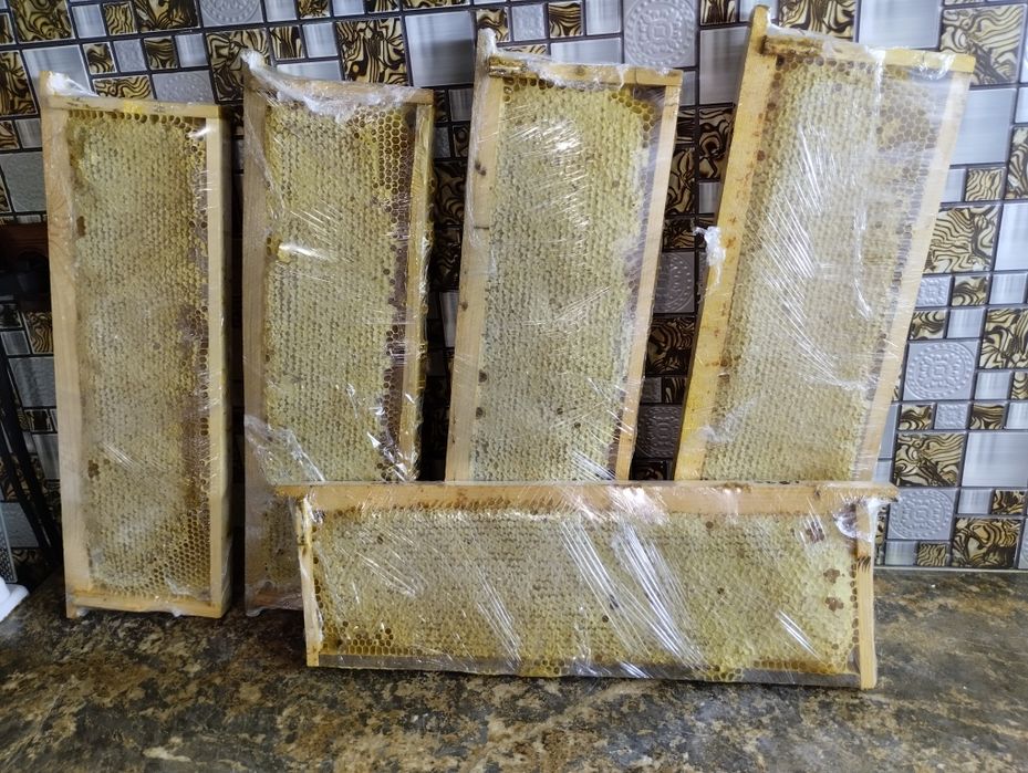 Продам мед со своей пасеки