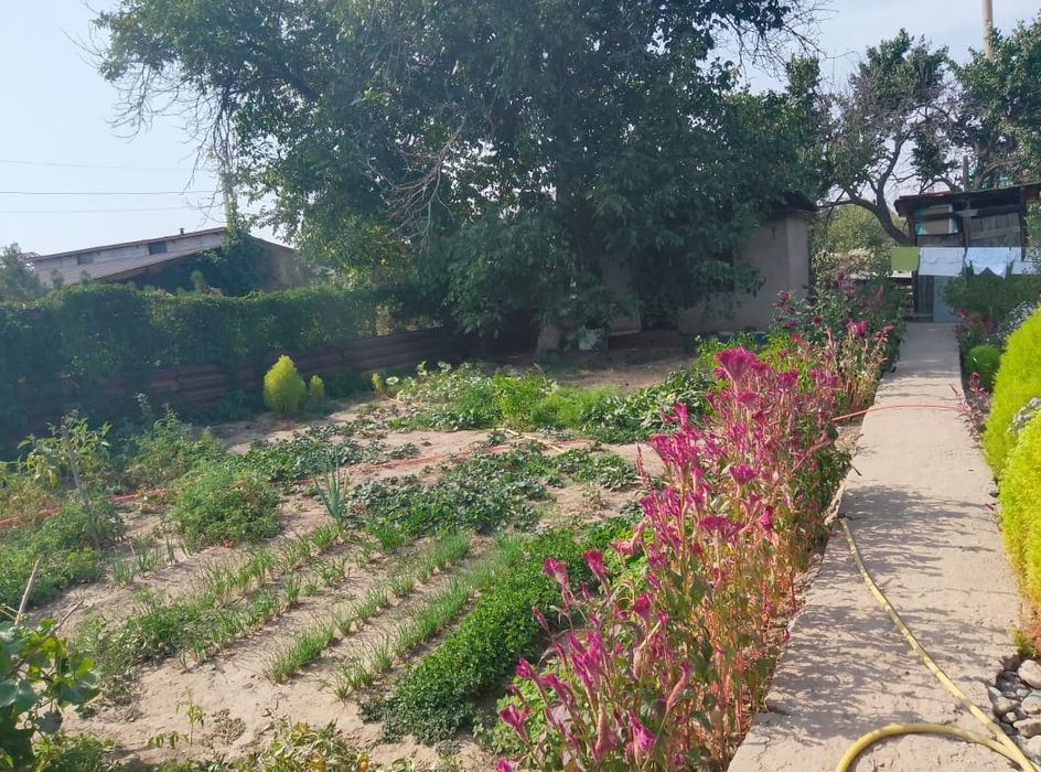 Продам дачу ,в хорошем состоянии