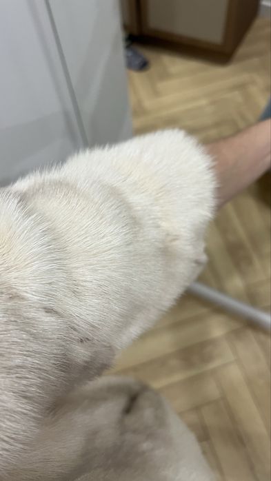 Норковая шубка автоледи