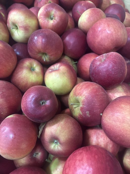 Vand mere rosii Idared