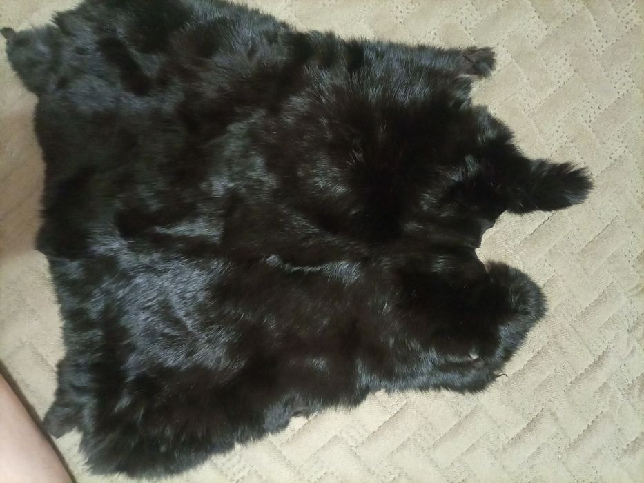 Шкурка кролика !