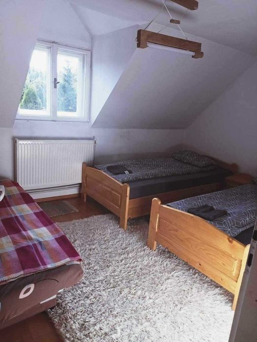 Casa de vacanta Izvorul Muresului
