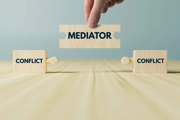 Профессиональный Медиатор