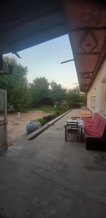 Kok terak avtodrom kocha 8 sotix