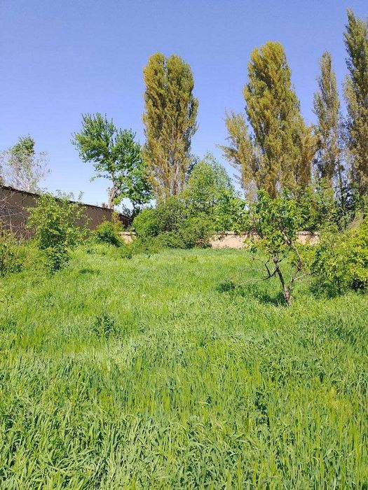 Ер сотилад Ҳар бири 4.5 сотихдан ёнма ён 2 та ер майдони (Байтқўрғон)