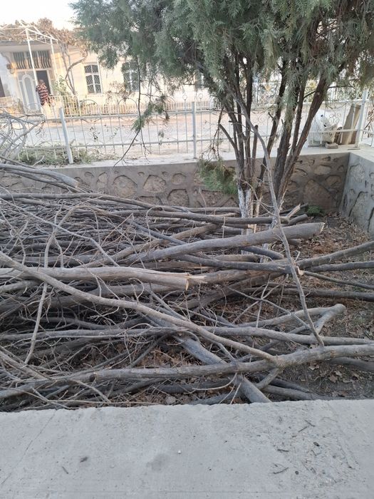 Утинлар сотилади