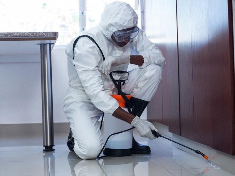 Дезинфекция Dezinfeksiya от Тараканов Клопов Камари Мухи Грызунов 24/7