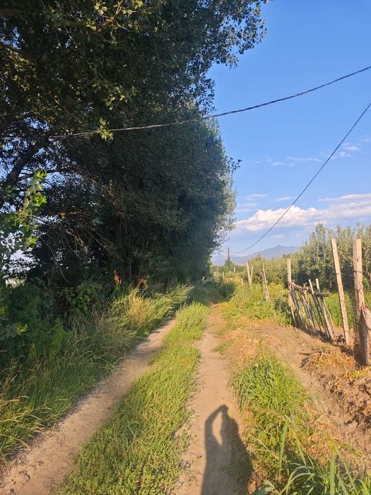 Земельный участок