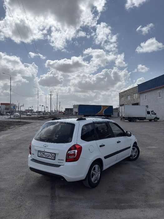 Калина 2016 года