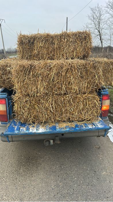 Baloti de paie de grau