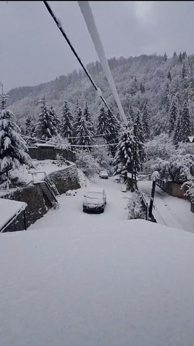 Cabană de închiriat