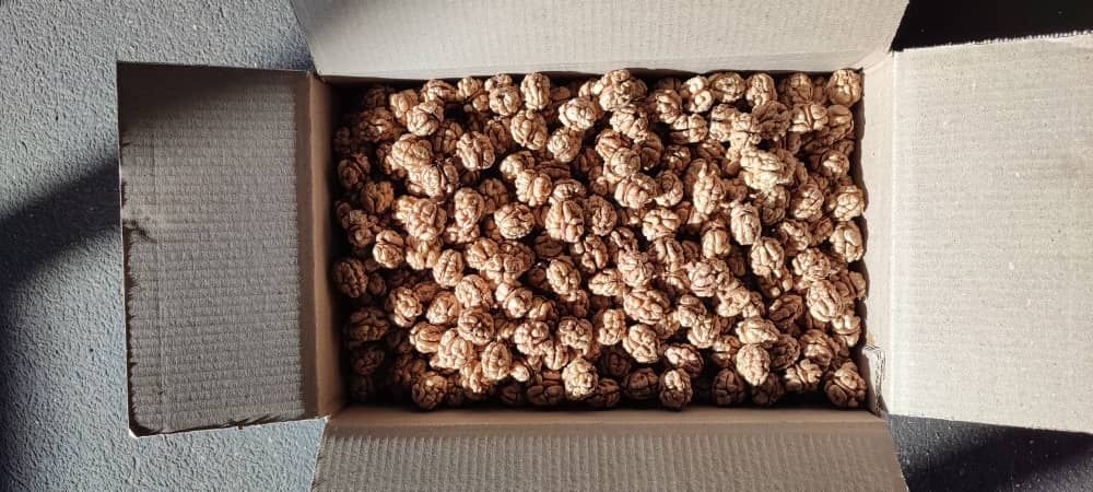 Ёнгок магзи сотилади.Гречские орехи очишанные оптом.95000 сум