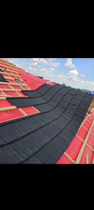 Acoperișuri și reparații