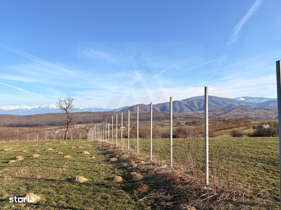 Teren 809 mp intravilan în Tropinii Noi zonă în plină dezvoltare