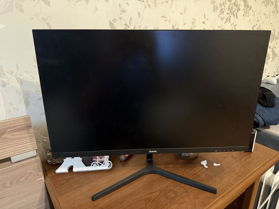 SANK 100 герц Монитор 1980/1080