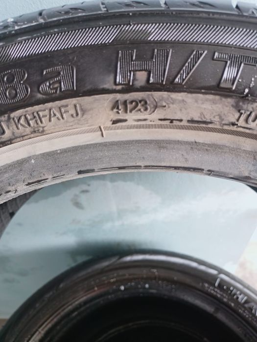 Продам ризину лето 3 болона